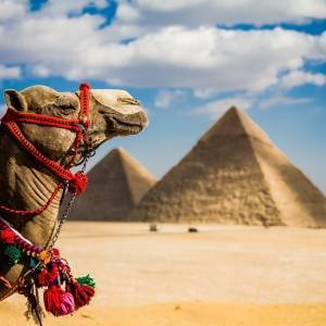 Saule un vēsture Ēģiptē